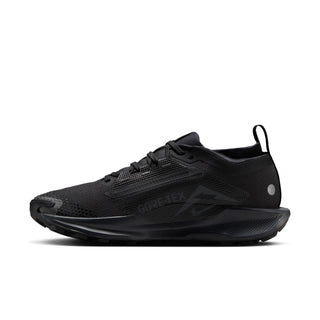 Nike Womens Pegasus Trail 5 Goretex | Black/Anthracite