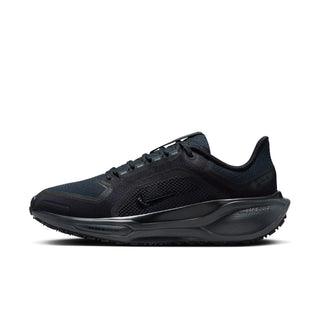 Nike Womens Pegasus 41 Gortex | Black/Anthracite