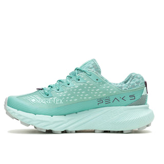 Merrell Womens Agility Peak 5 Goretex | Canton