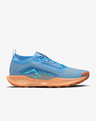 Nike Pegasus Trail 5 Gore-tex | Blue Beyond