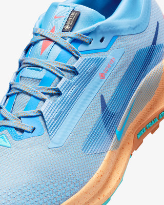 Nike Pegasus Trail 5 Gore-tex | Blue Beyond