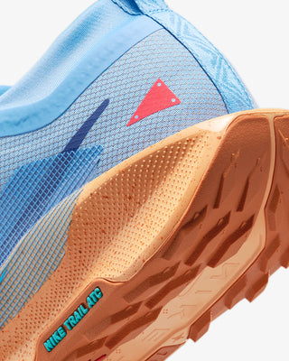 Nike Pegasus Trail 5 Gore-tex | Blue Beyond