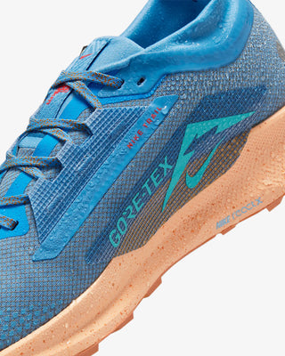 Nike Pegasus Trail 5 Gore-tex | Blue Beyond